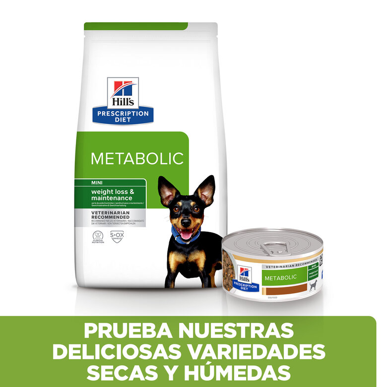 Hill’s Adult Mini Prescription Diet Metabolic Guisado de Frango e Legumes para cães, , large image number null